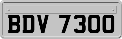 BDV7300