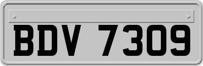 BDV7309