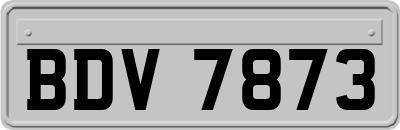 BDV7873
