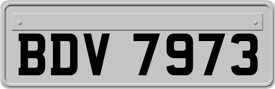 BDV7973