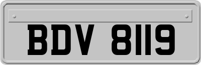 BDV8119