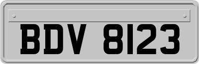 BDV8123