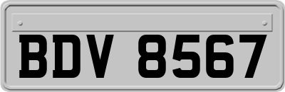 BDV8567