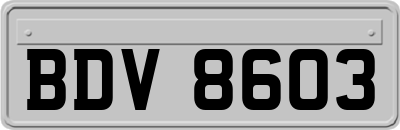 BDV8603