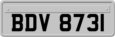 BDV8731