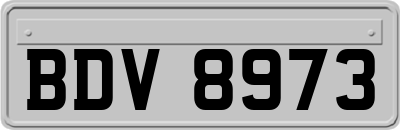 BDV8973
