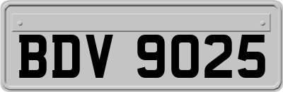 BDV9025