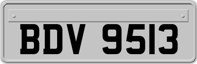 BDV9513