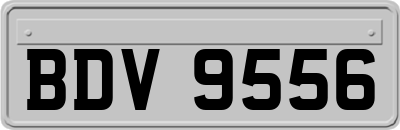 BDV9556