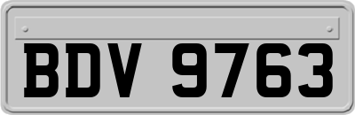 BDV9763