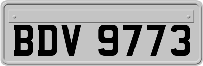 BDV9773
