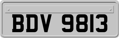 BDV9813