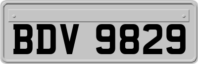BDV9829