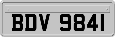 BDV9841