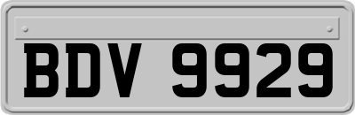 BDV9929
