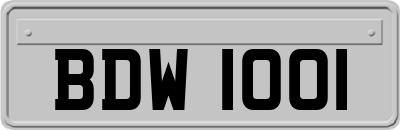 BDW1001
