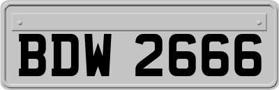 BDW2666