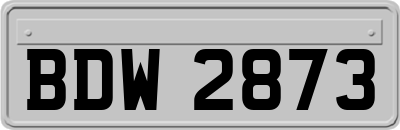 BDW2873