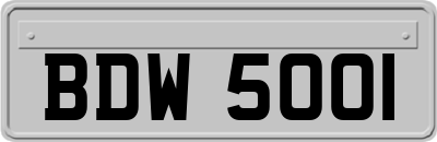 BDW5001