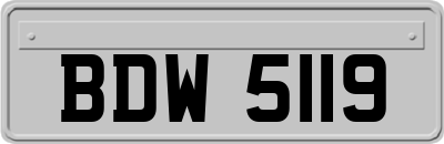 BDW5119