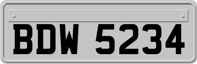 BDW5234