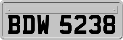 BDW5238