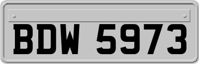 BDW5973
