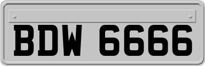 BDW6666