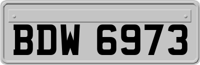 BDW6973