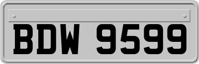 BDW9599