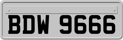 BDW9666