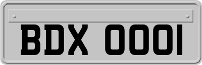 BDX0001