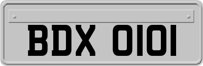 BDX0101
