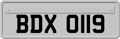 BDX0119