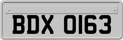 BDX0163