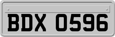 BDX0596