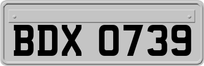 BDX0739