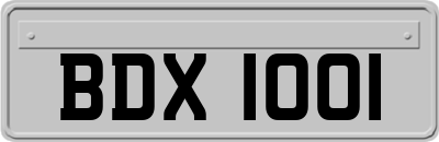 BDX1001