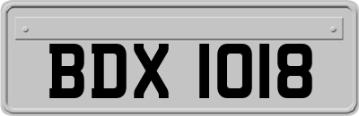 BDX1018