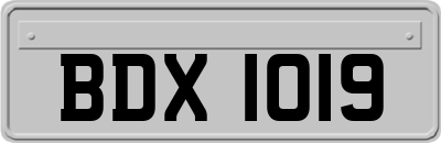BDX1019