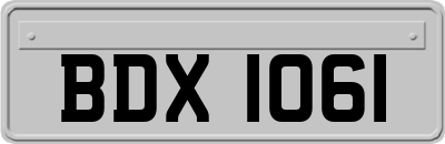 BDX1061