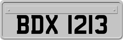 BDX1213