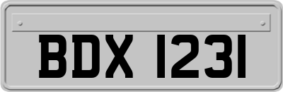 BDX1231