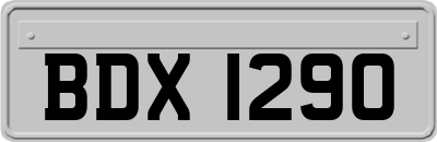 BDX1290