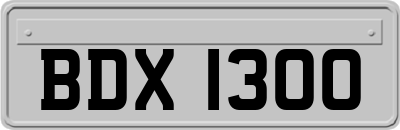 BDX1300