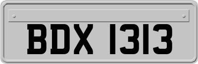 BDX1313