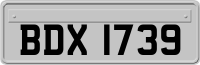BDX1739