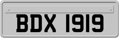 BDX1919