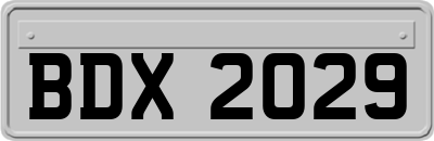 BDX2029