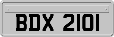 BDX2101